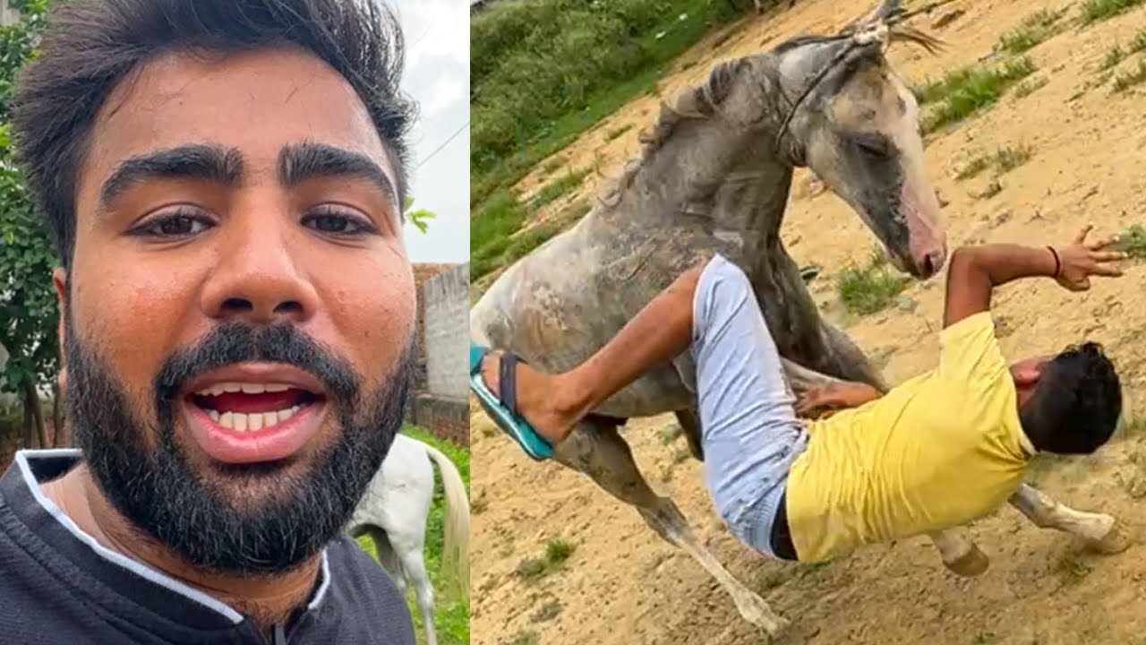 Ghode ne patak diya chinu ko