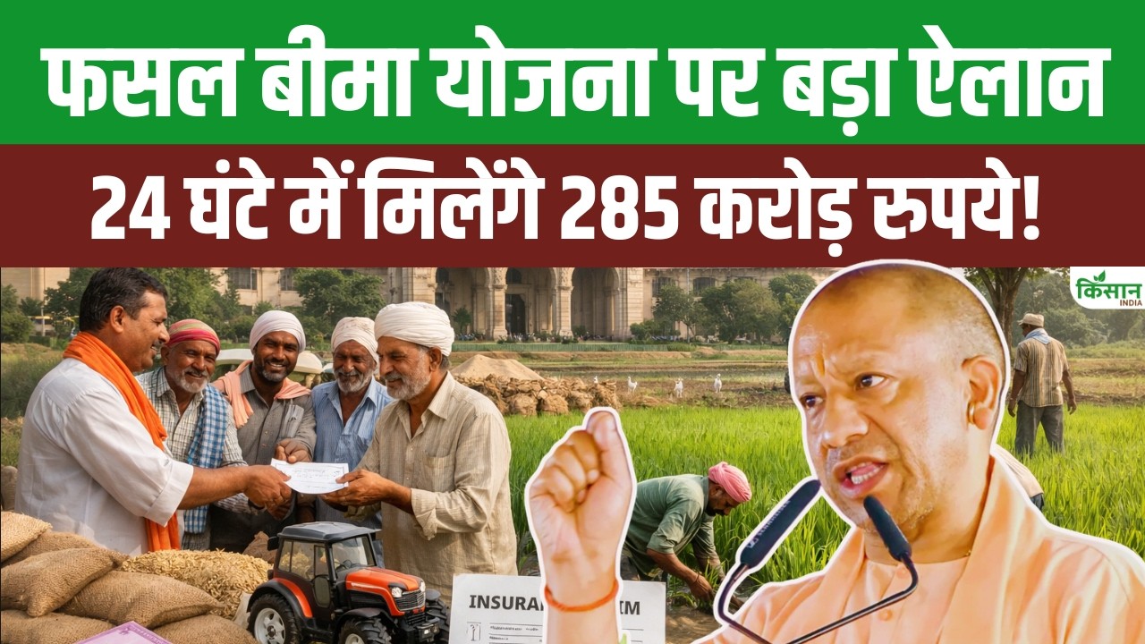 किसानों को Fasal Bima की बड़ी राहत: 2.51 लाख किसानों को 285 करोड़ का मिला मुआवजा। CM Yogi Adityanath