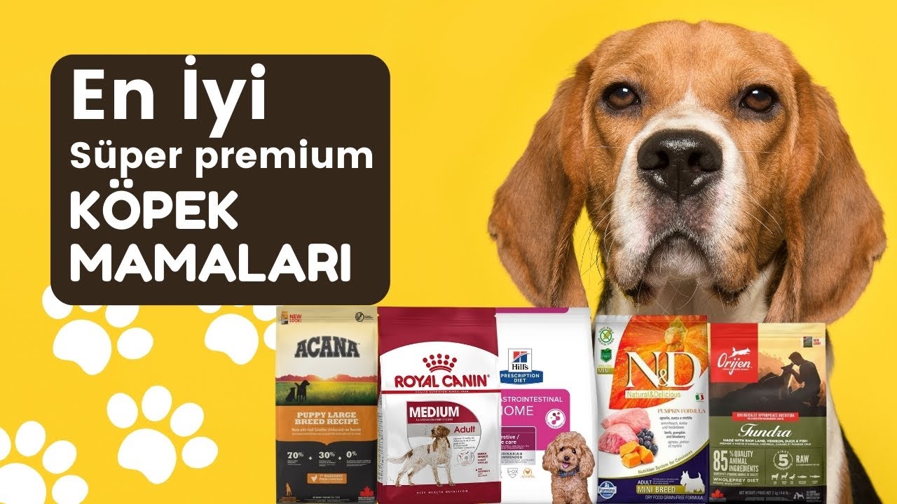 En İyi Süper Premium Köpek Mamaları: Hangisi Daha İyi?
