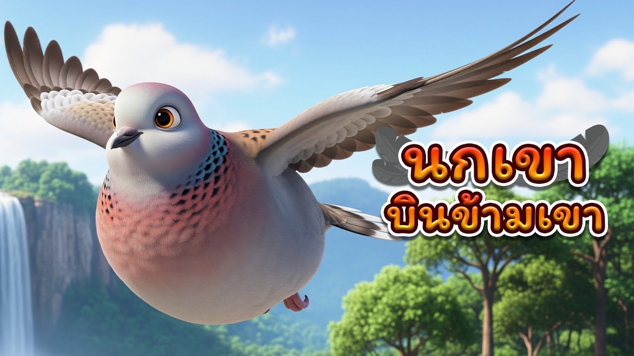 เพลงนกเขาบินข้ามเขา I Lovely Kids Song