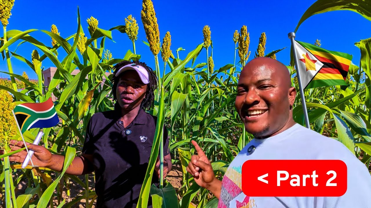 How She Left SA Empty Handed & Built a NEW Life DEEP in RURAL Zim -Part 2