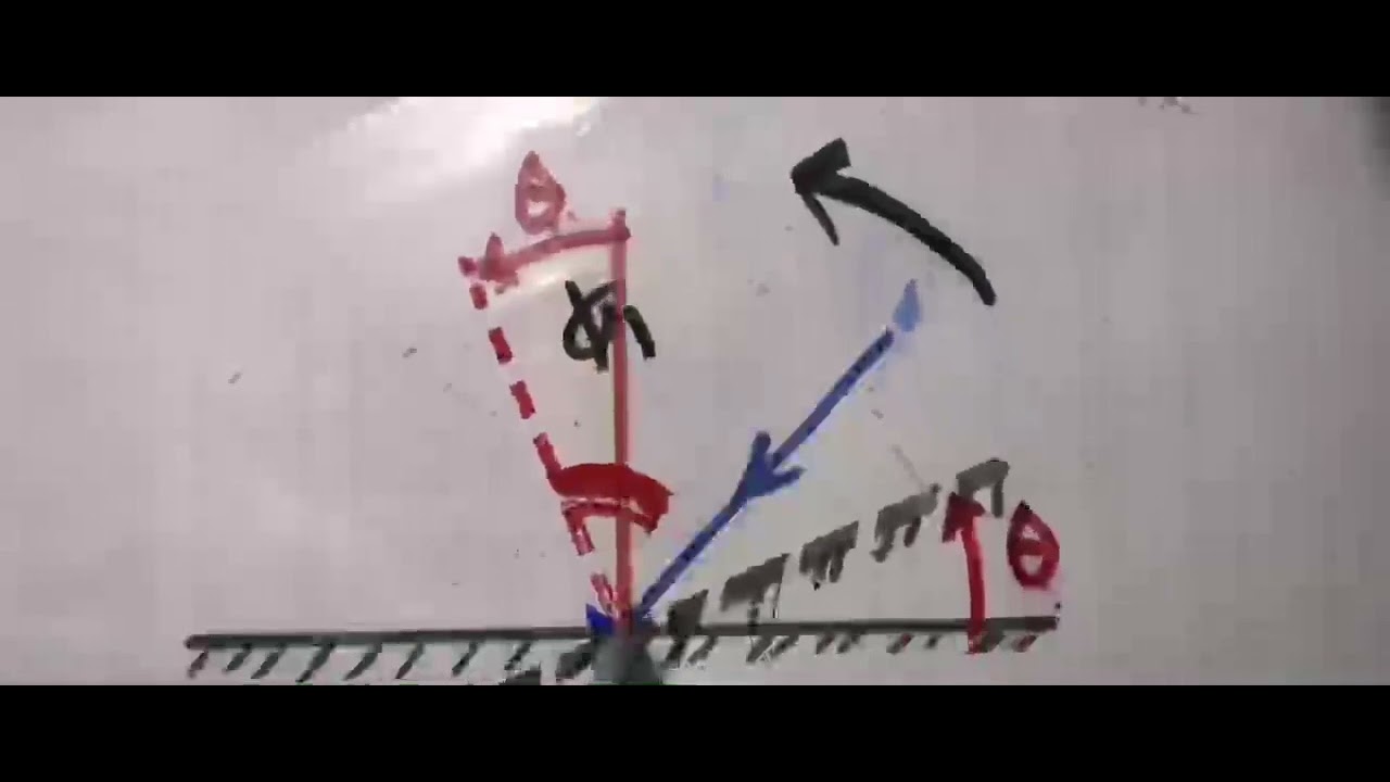 ١٥ نوفمبر، ٢٠٢٣