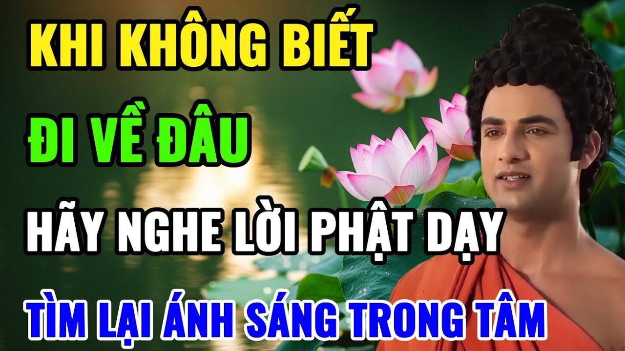 Khi Không Biết Đi Về Đâu, Hãy Nghe Phật Dẫn Lối | Tìm Lại Ánh Sáng Trong Tâm | Audio Tâm Sáng