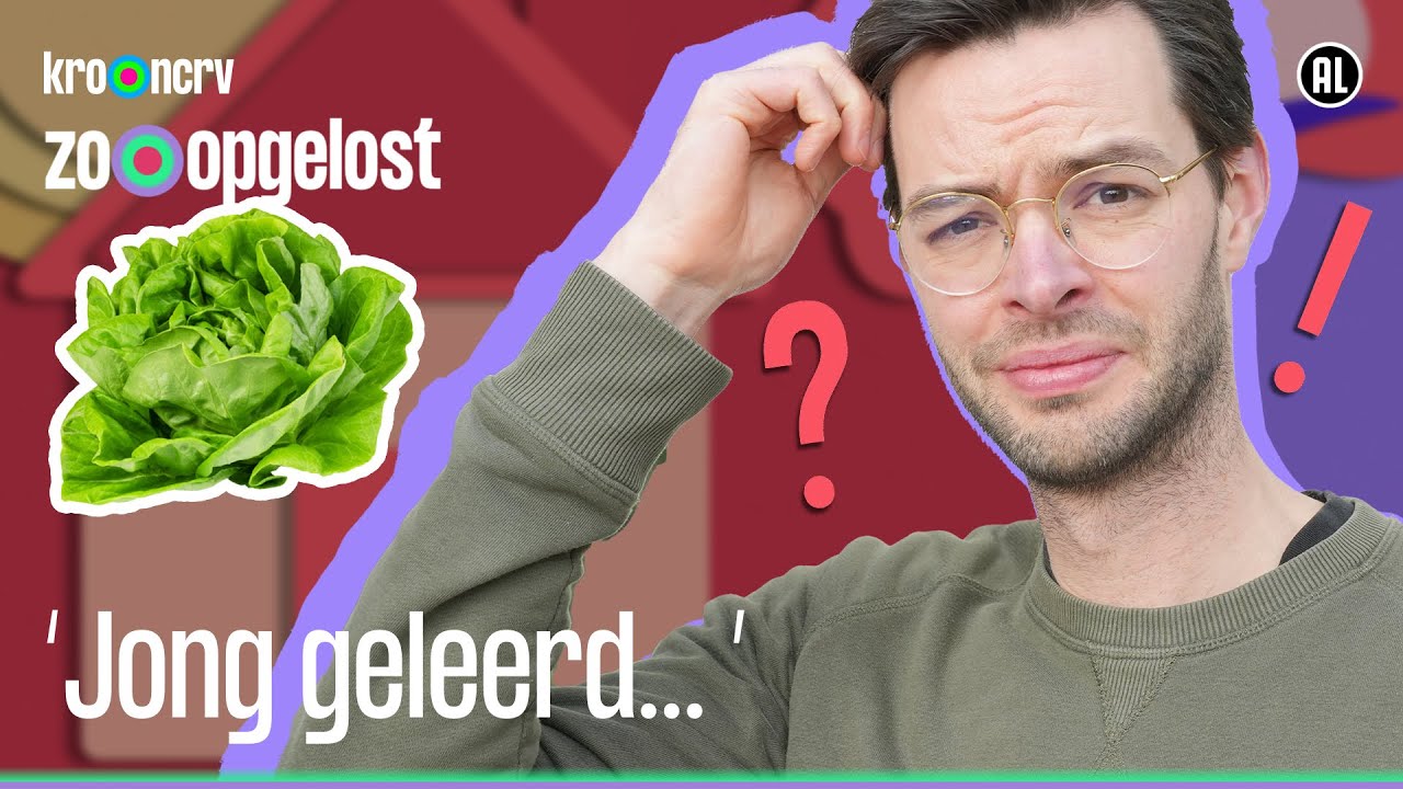 Hoe zorgen we dat mensen minder vlees eten ? | Zo Opgelost S2#4 | KRO-NCRV