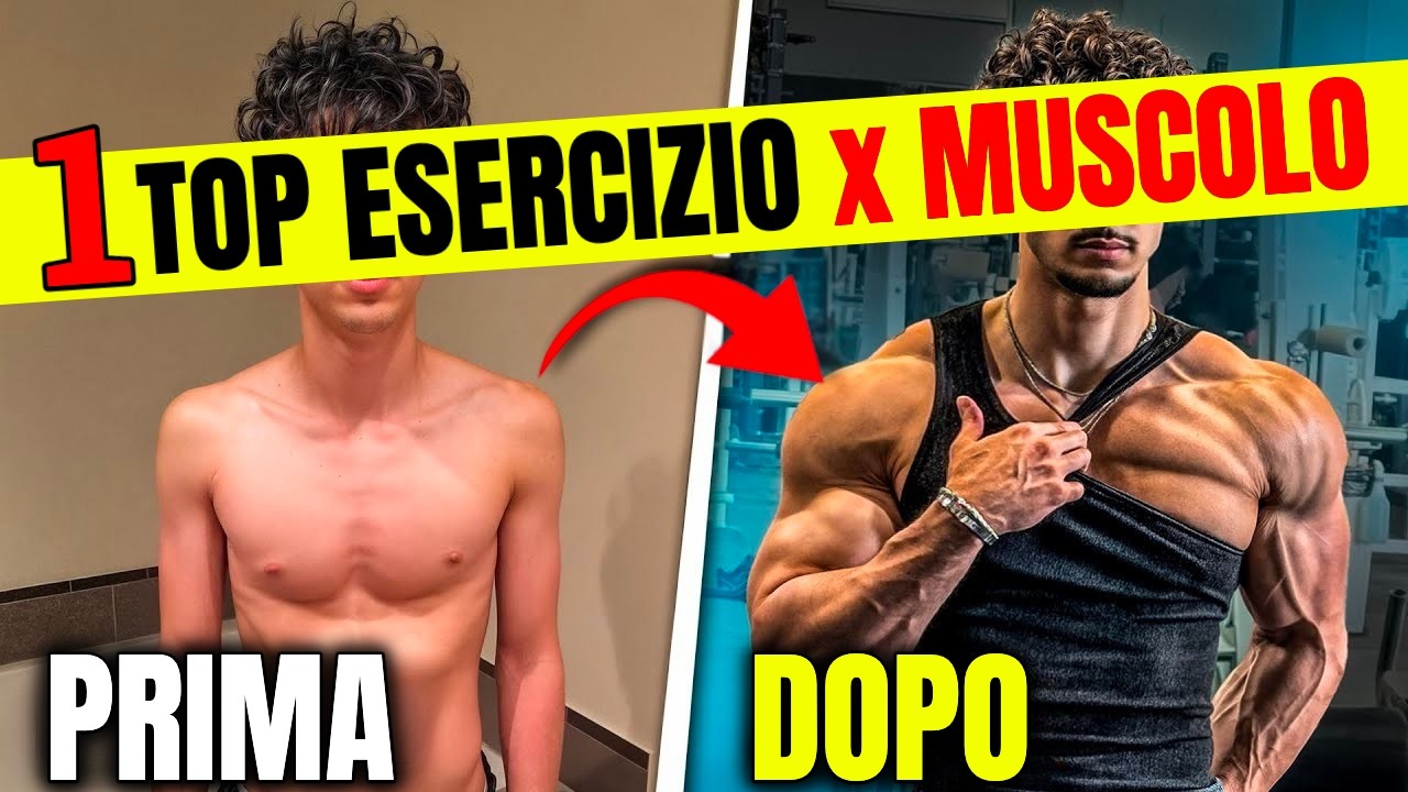 1 MIGLIOR Esercizio per OGNI GRUPPO MUSCOLARE