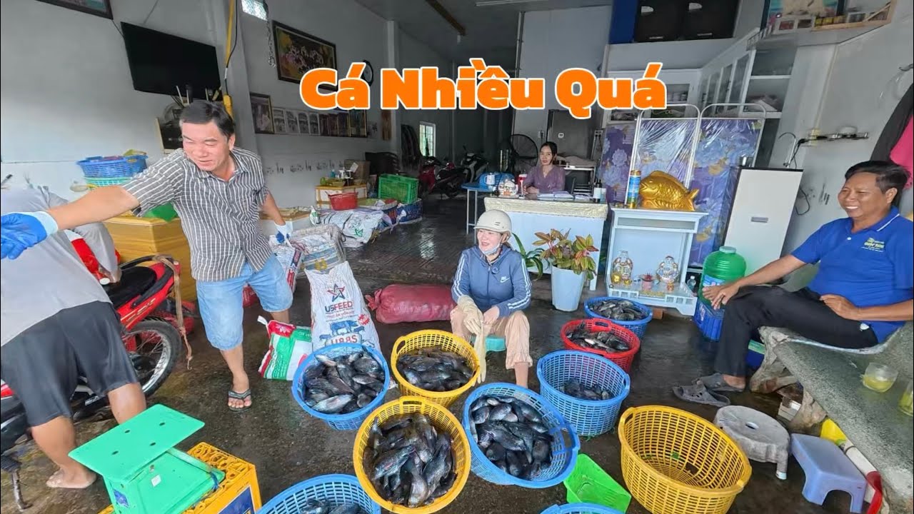 Tập 3|| Bữa Nay Gi&aacute;o Sư L&agrave;m Xe &Ocirc;m Cho KaNi T&egrave;o 69 V&agrave; L&agrave;m M&oacute;n Lẩu Hột Vịt Đ&atilde;i Mấy Người Đẹp