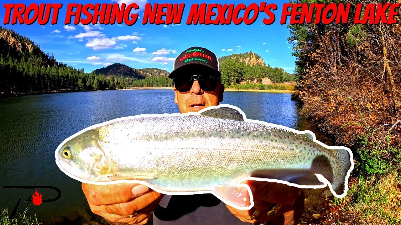 Trout Fishing New Mexico's Fenton Lake