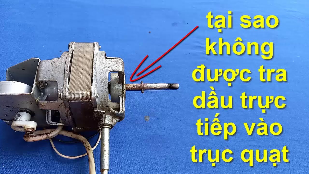 có thể bạn chưa biết tại sao không được tra dầu trực tiếp vào trục quạt?