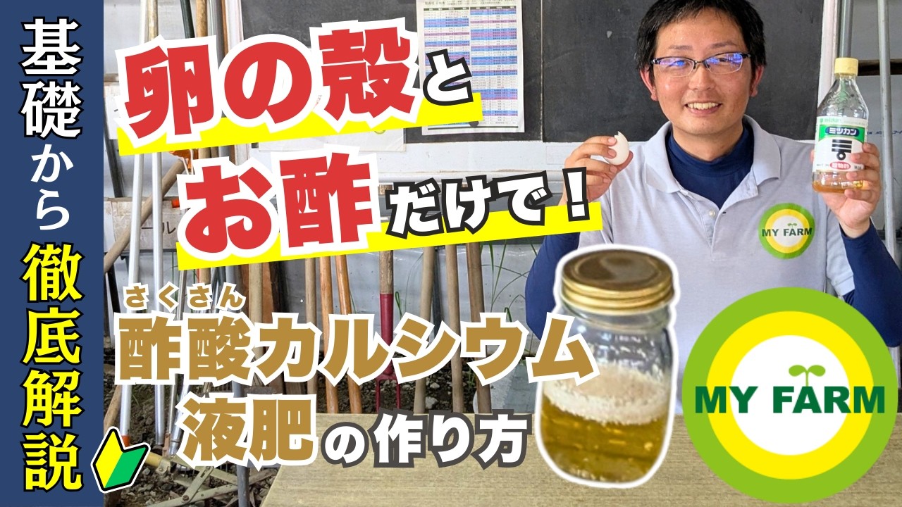 卵の殻とお酢で簡単カルシウム補給！酢酸カルシウム液肥の作り方と使い方│モリミサと学ぶ有機栽培