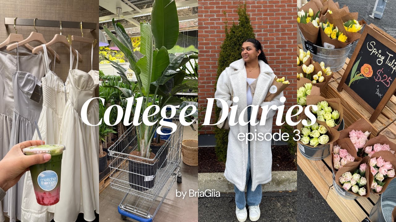 College Diaries Ep.3! shopping for a grad dress + sunday in beacon + ikea run & more