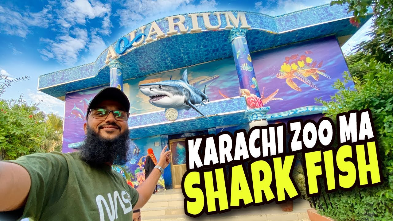 Karachi zoo ma Shark fish 😱 karachi zoo aquarium (Fahad Bhai Official)