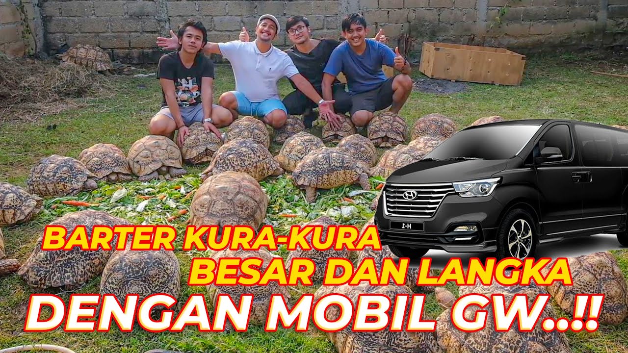 RELA TUKER MOBIL BUAT AMBIL KURA-KURA LANGKA DAN RAKSASA 😤😤
