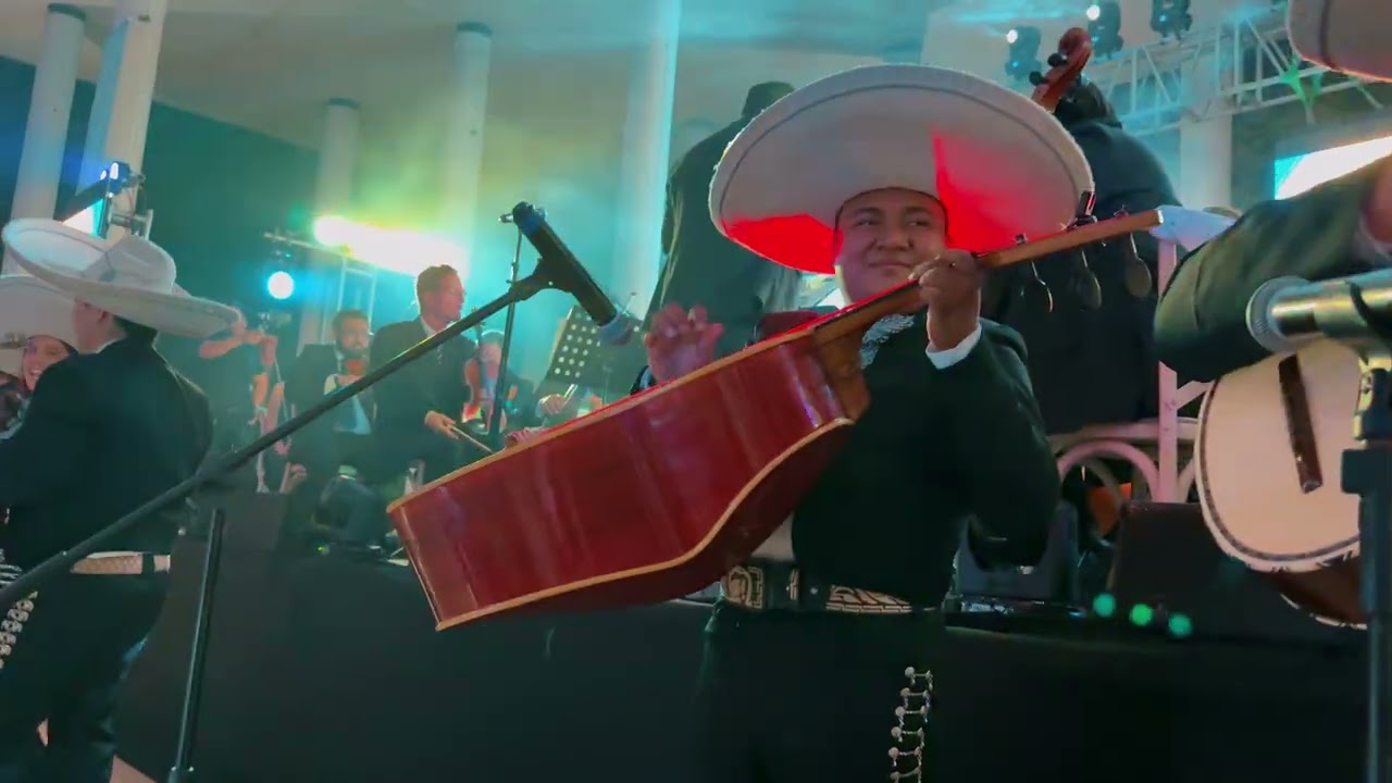 Son de la Negra Sinfónica Amadeus 