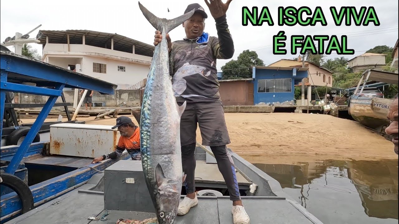 SARDA CAVALA  GIGANTE MAS 30 KG GUARAPARI -ES PESCARIA