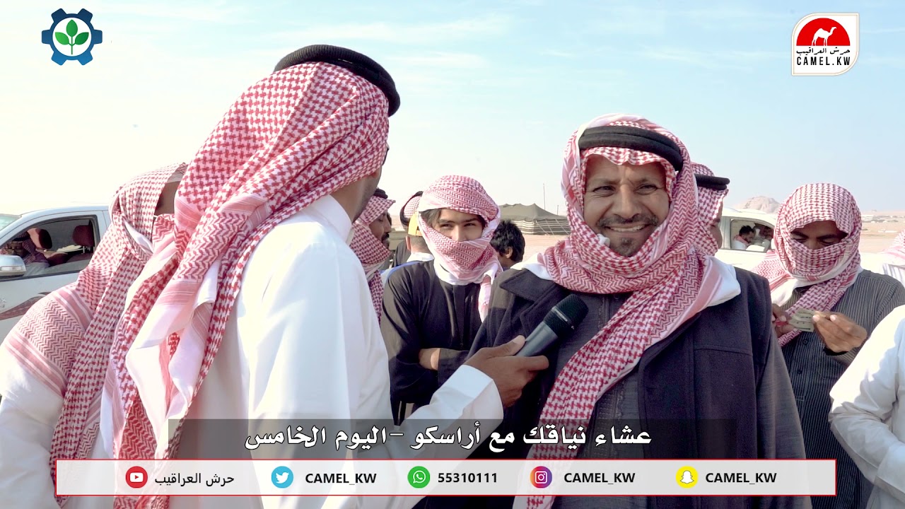 عشاء نياقك مع أراسكو -اليوم الخامس