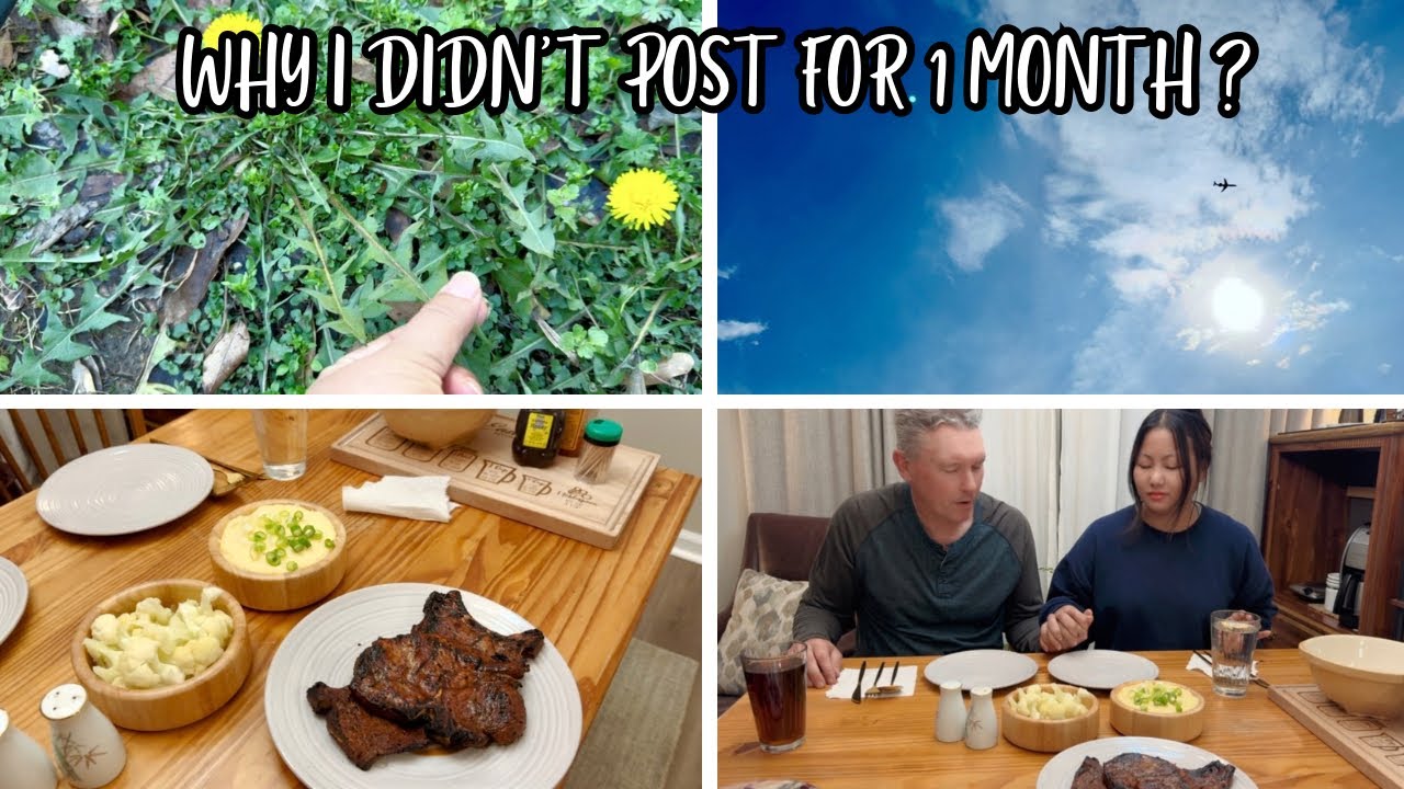 Why I Didn’t Post for 1 Month & What Did I Miss Out?