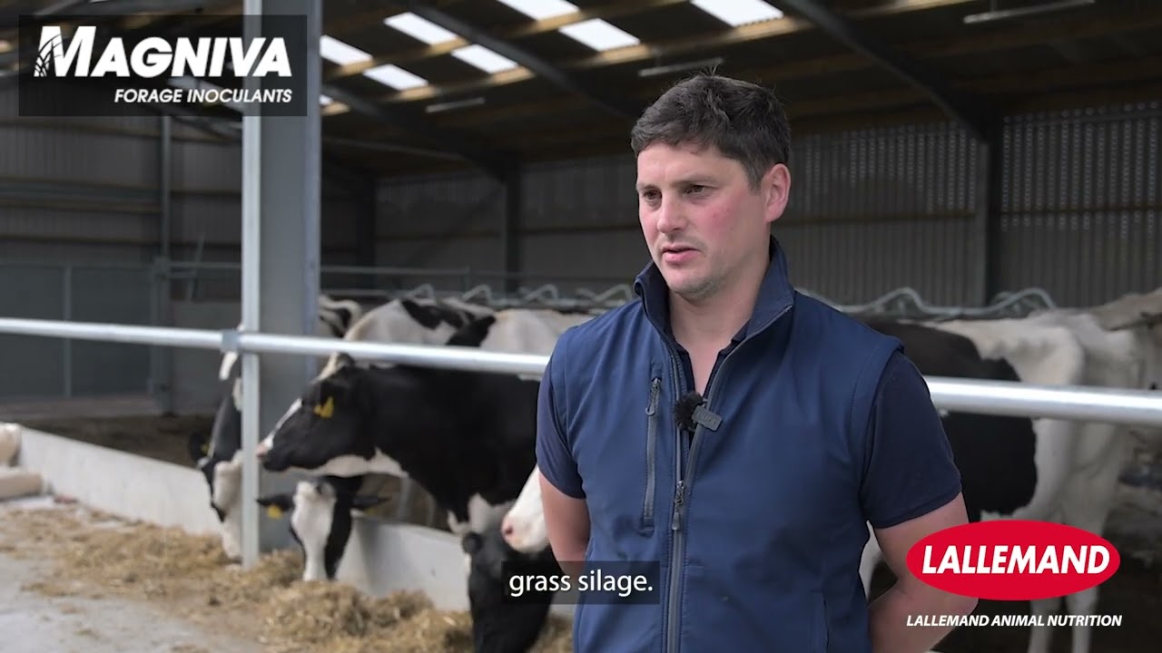 Farmer experience: protecting silage quality to support youngstock performance