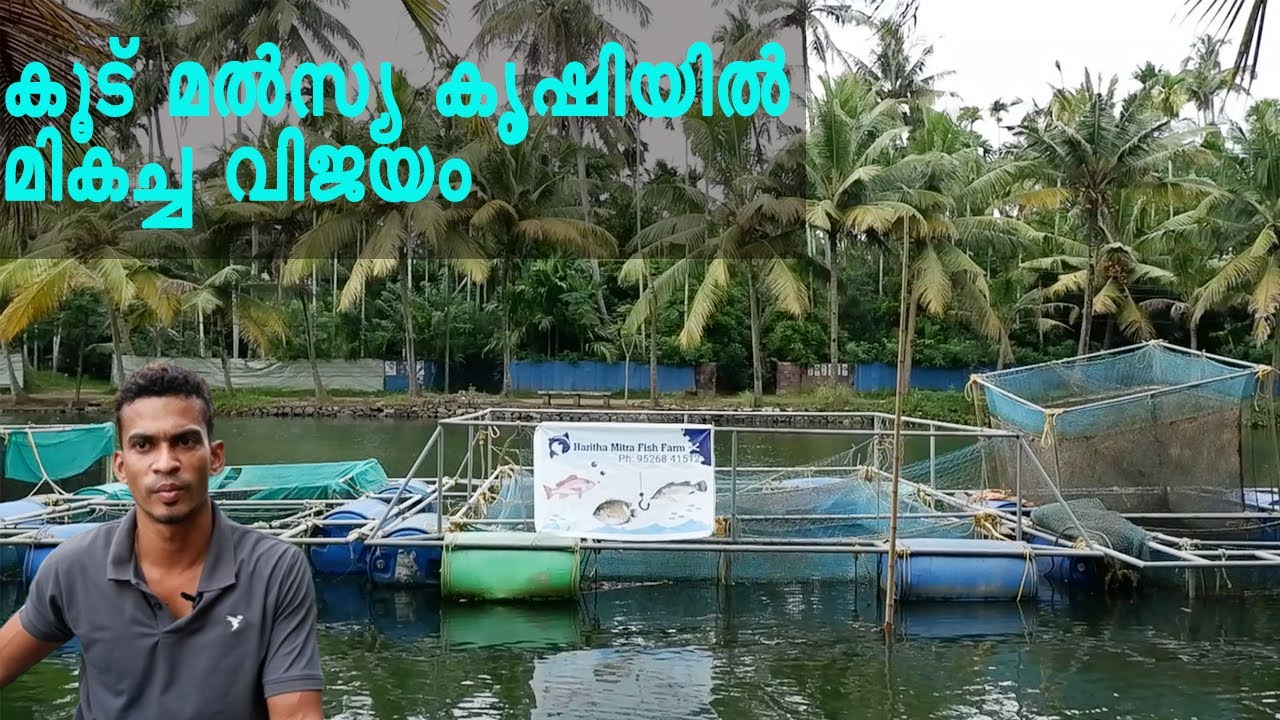 കൂട് മൽസ്യ കൃഷിയിൽ മികച്ച വിജയം നേടി അനൂപ് | Koodu Malsyakrishi | Cage Fish Farming Kerala