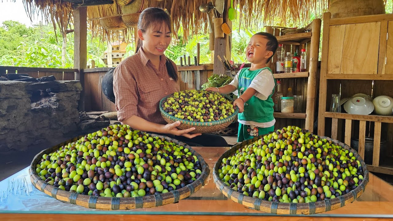 Harvest lotus seeds in the swamp for sale - How to cook delicious and nutritious lotus seed porridge