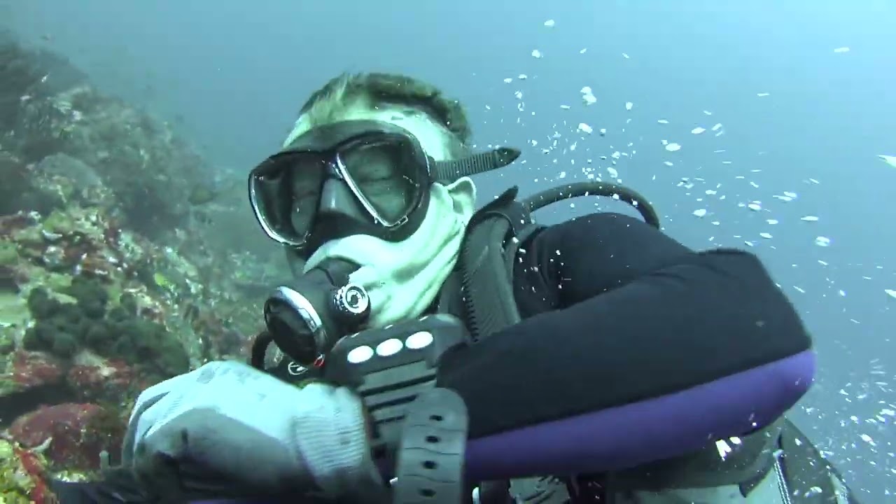 Diving Verde Island, February 18th 2025