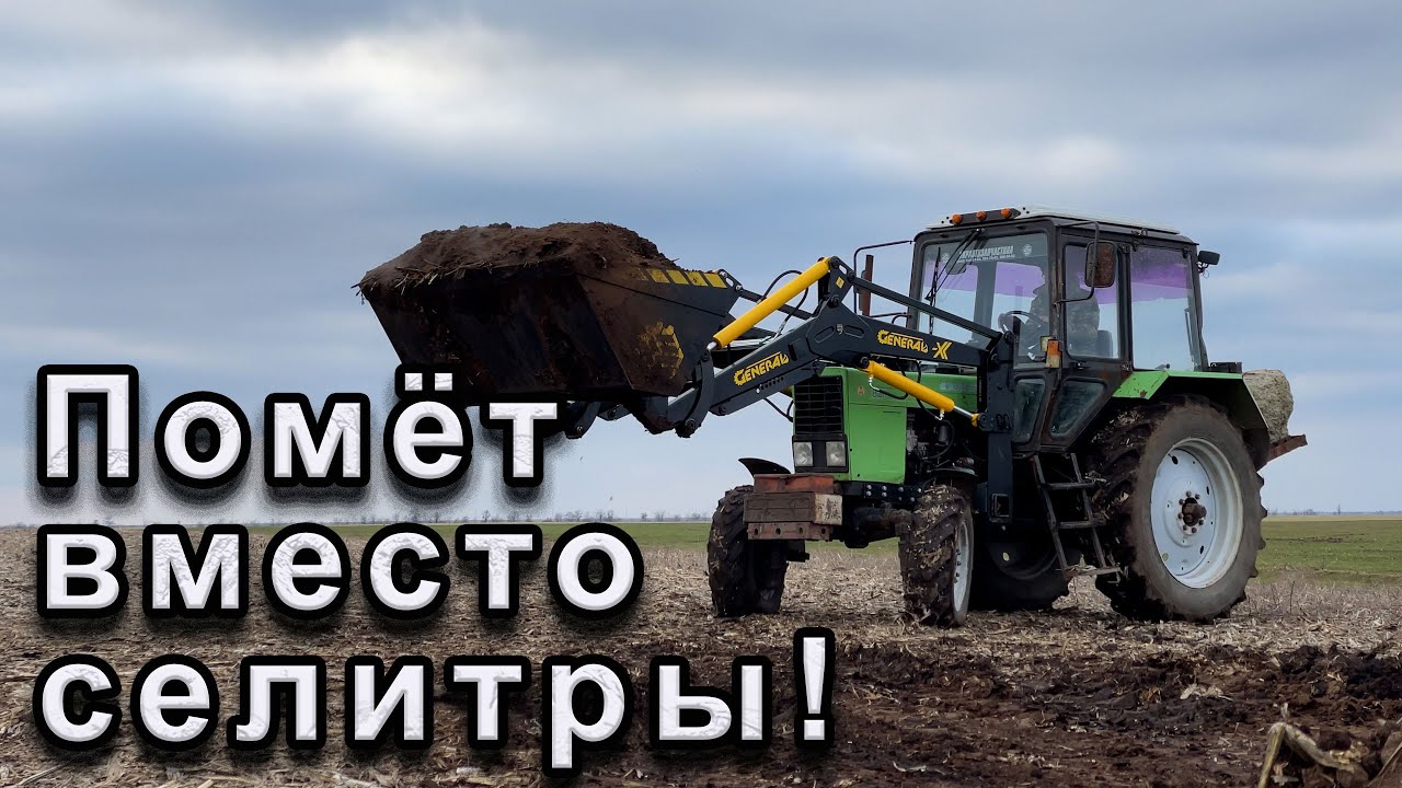 Органическое удобрение вместо селитры! Куриный помет!