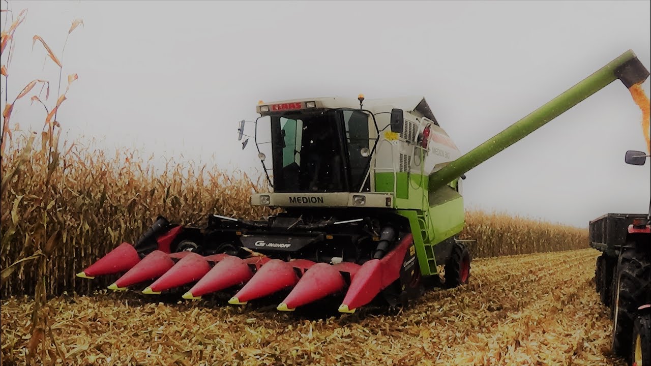 Żniwa Kukurydziane 2017 z Claas Medion 310 II FullHD
