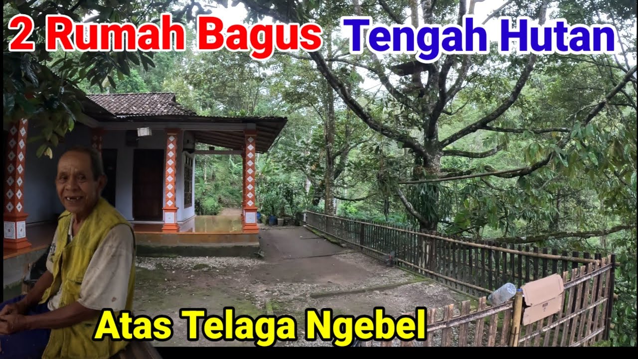Dua Rumah Bagus Terpencil di Tengah Hutan Atas Telaga Ngebel Ponorogo 