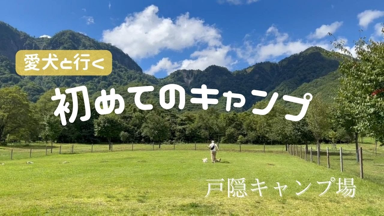 新しいチャレンジ！愛犬と行く初めてのキャンプ｜FIELDOORのカーサイドタープでてんやわんや【チワックスとペキシーズー】chifuachshund&pekishihzu