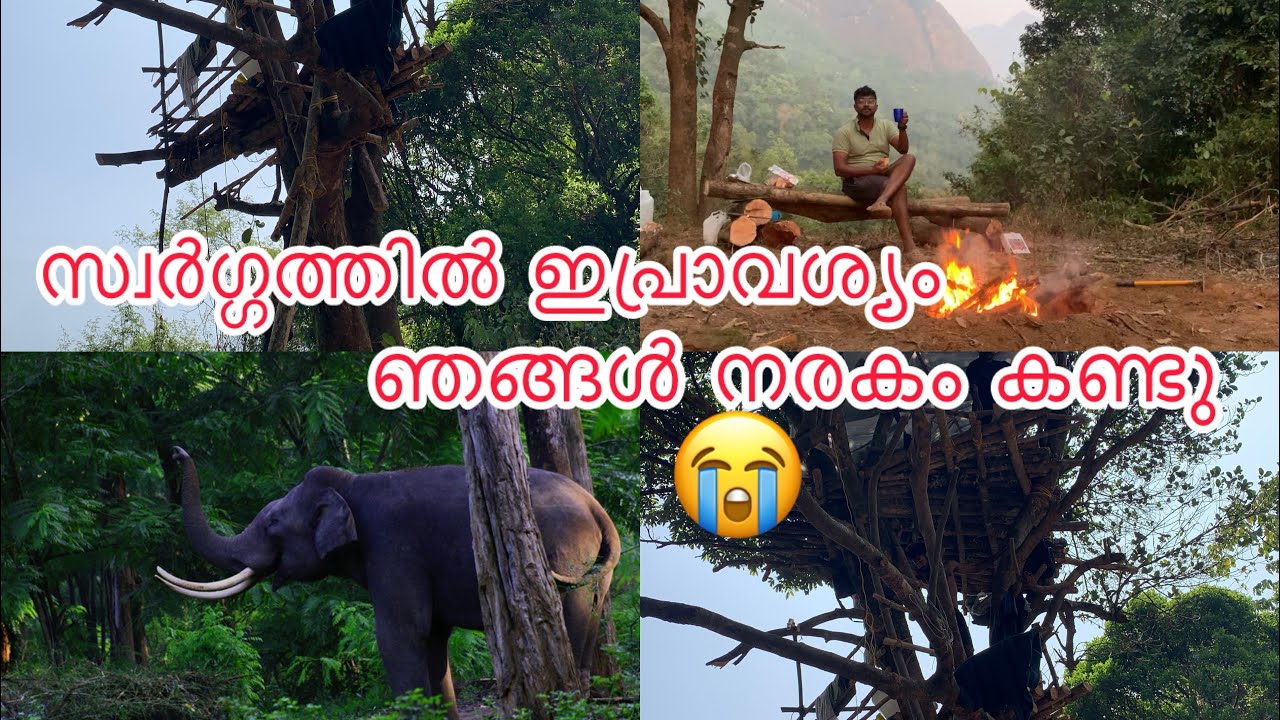 കാട്ടിൽ ആനയെക്കാളും വലിയ dangerous ഇവനാണ് 