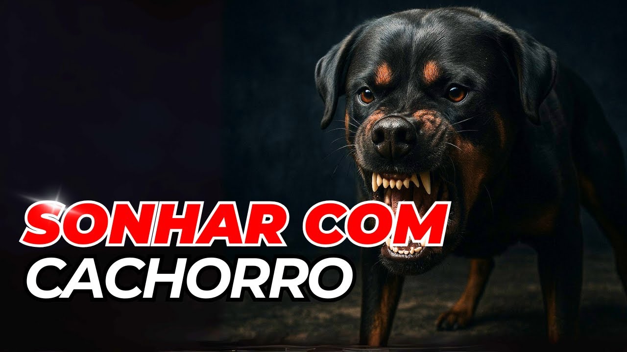 Você Sonhou com um Cachorro? Veja o Que Isso Revela Sobre a Sua Vida!