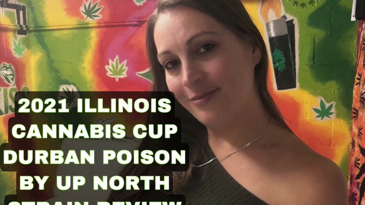 Durban Poison By UpNorth Strain Review for the High Times Illinois Cannabis Cup 2021