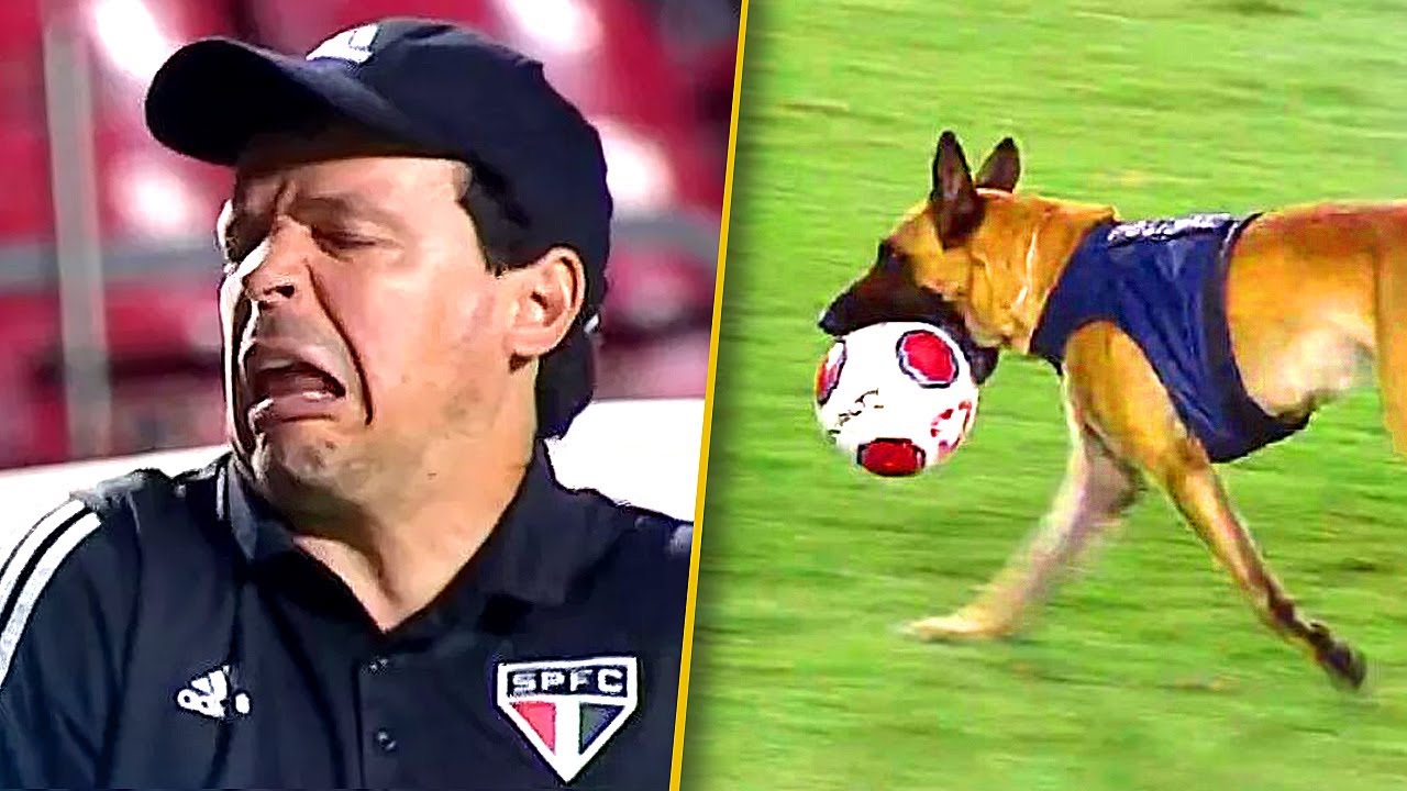 AS LOUCURAS DO FUTEBOL BRASILEIRO - Parte 2