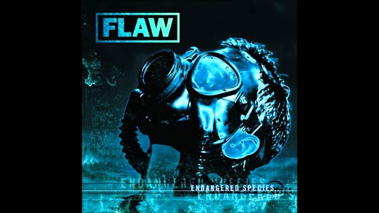 Flaw - Not Enough