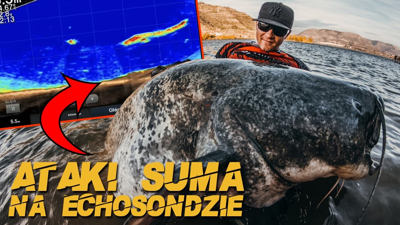 Nagrane ataki suma na Garmin Panoptix Livescope Catfish Attack