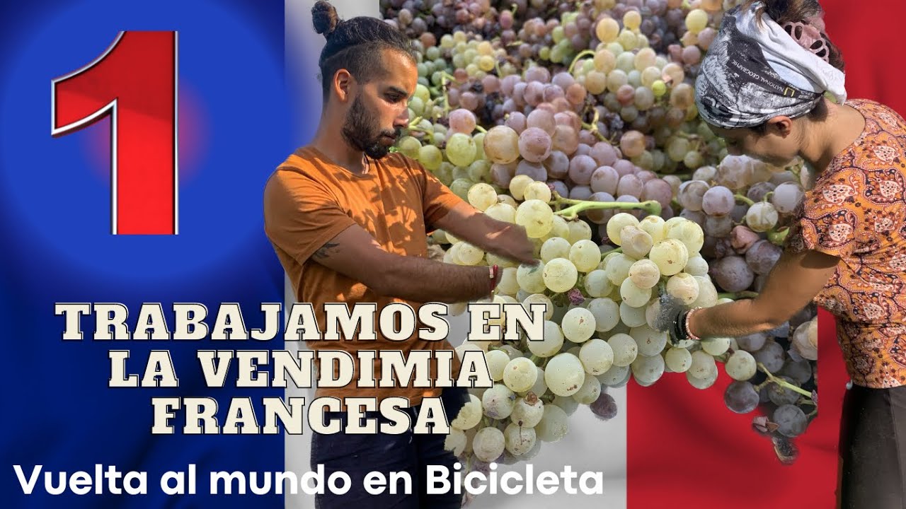 #1 Trabajamos en la vendimia Francesa