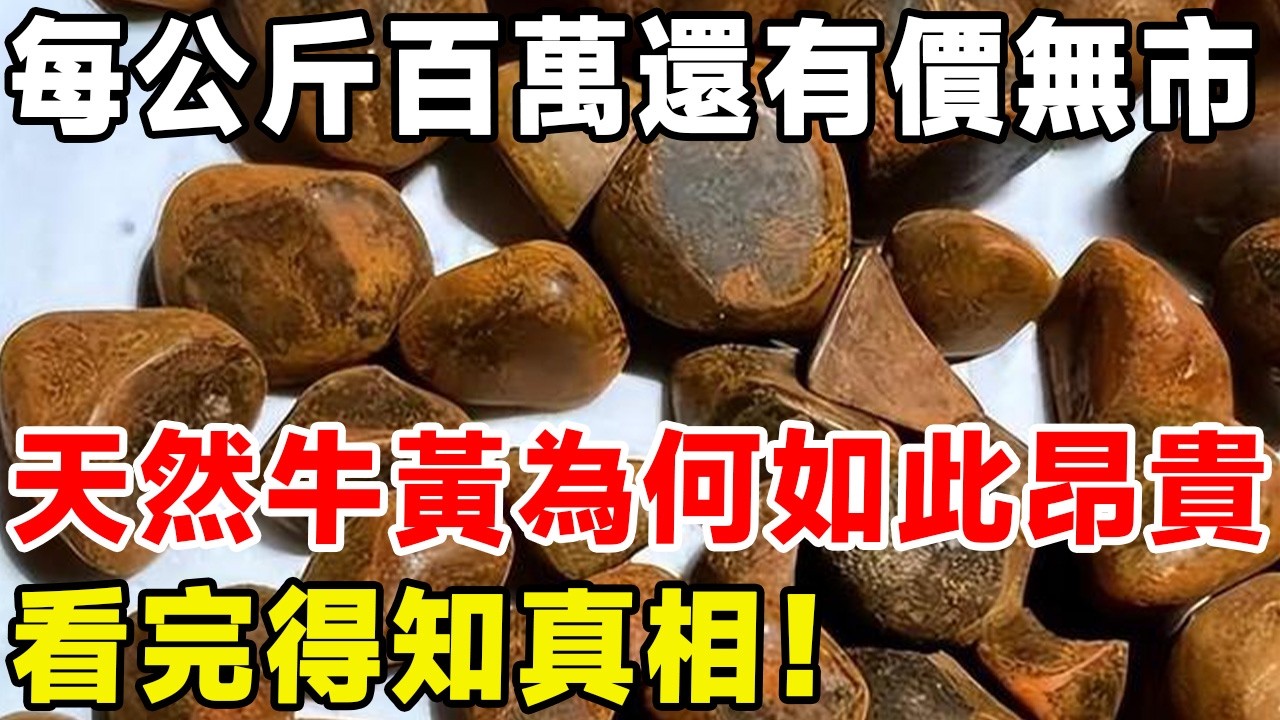 150萬每公斤還有價無市，天然牛黃為何如此昂貴，看完得知真相！#科普 #科普頻道
