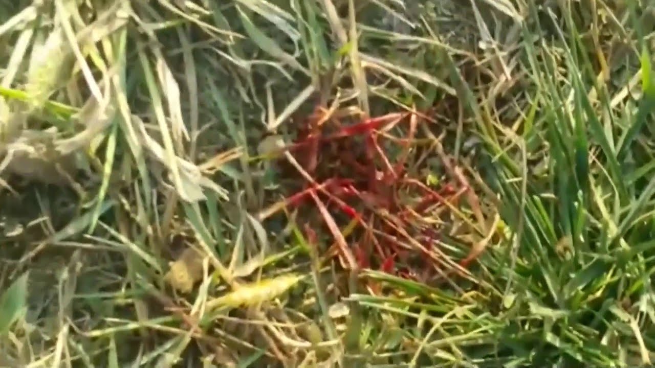 مشاهد جديدة لموقع استهداف قاسم سليماني والمهندس قرب مطار بغداد