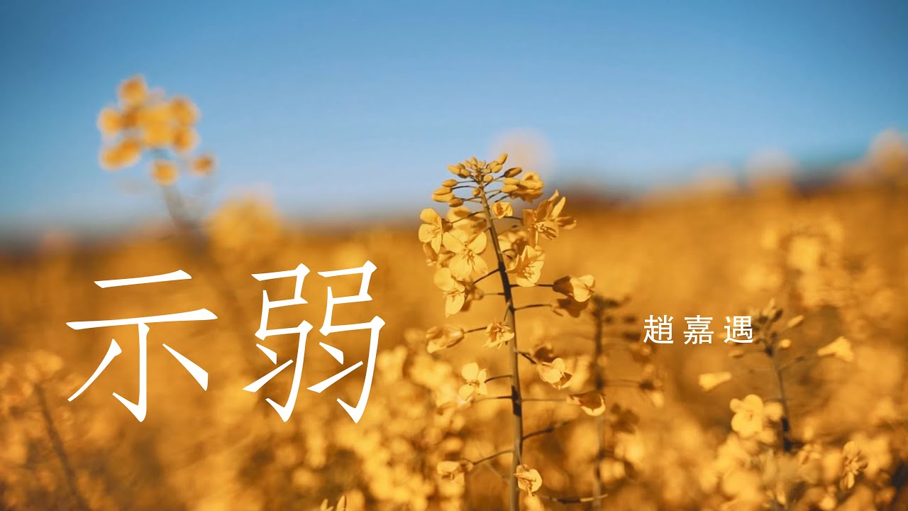 示弱 - 趙嘉遇 『愛不過是示弱 是難過 是解脫 / 不只是裝的灑脫只留下錯過』【動態歌詞Lyrics】