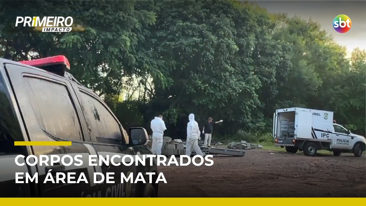 PB: corpos s&atilde;o encontrados e pol&iacute;cia apura liga&ccedil;&atilde;o com desaparecimento de baianos | #PrimeiroImpacto