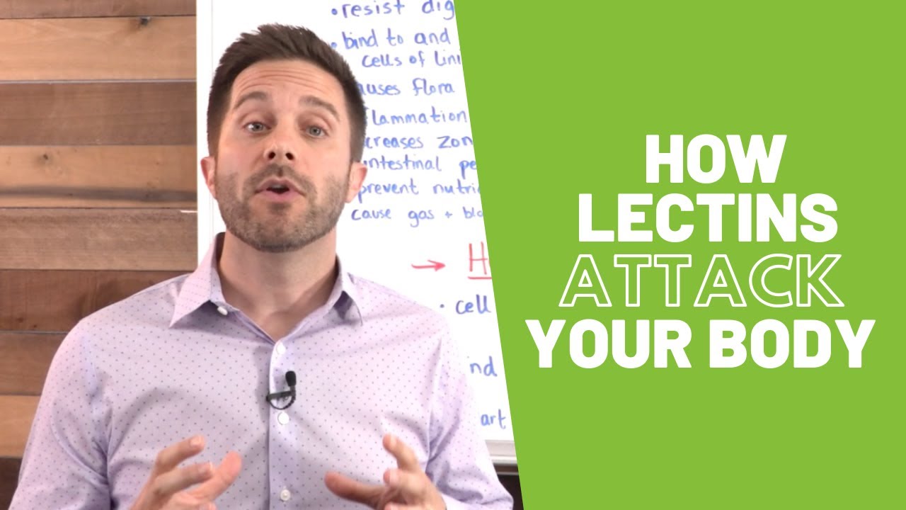 How Lectins Attack Your Body | BodyManual