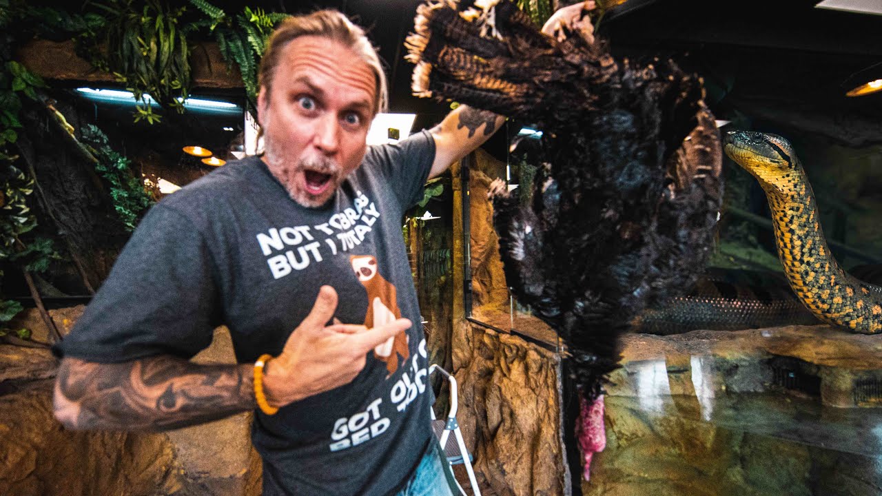 FED A 17 POUND TURKEY TO MY GIANT ANACONDA FOR THANKSGIVING!!! | BRIAN BARCZYK