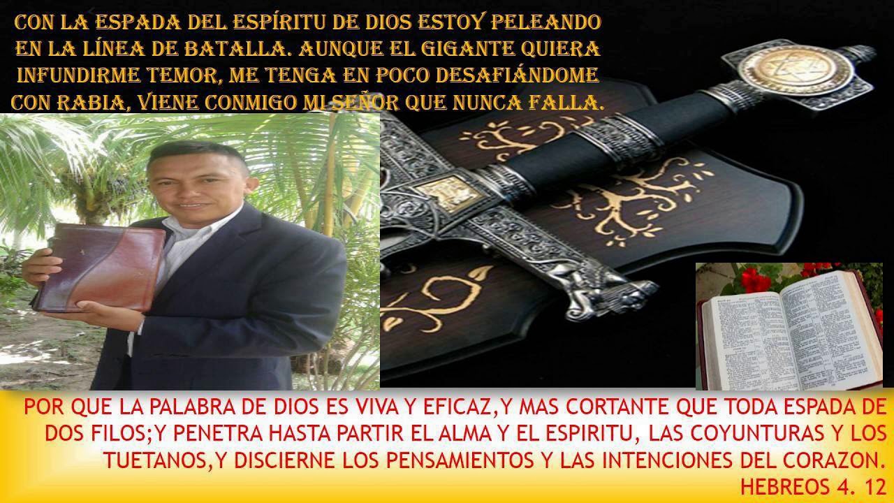 Pedro Hernandez Vine a Pedir Perdón 2018-2019
