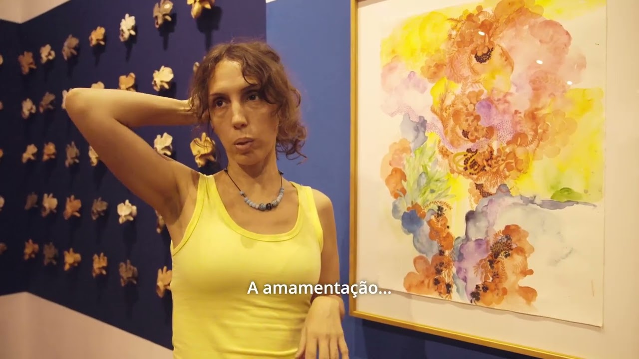 RAMA Vídeo relatório Auroras  - LSE