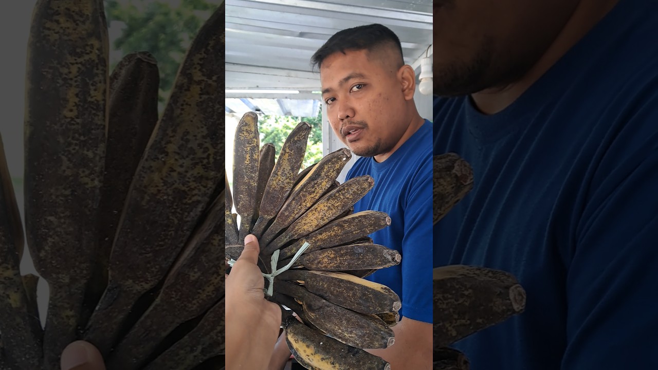 Harga Pisang Kepok Ditempat Kalian Berapa Gaiss??? #idejualan #idejajananunikuntukusaha #food