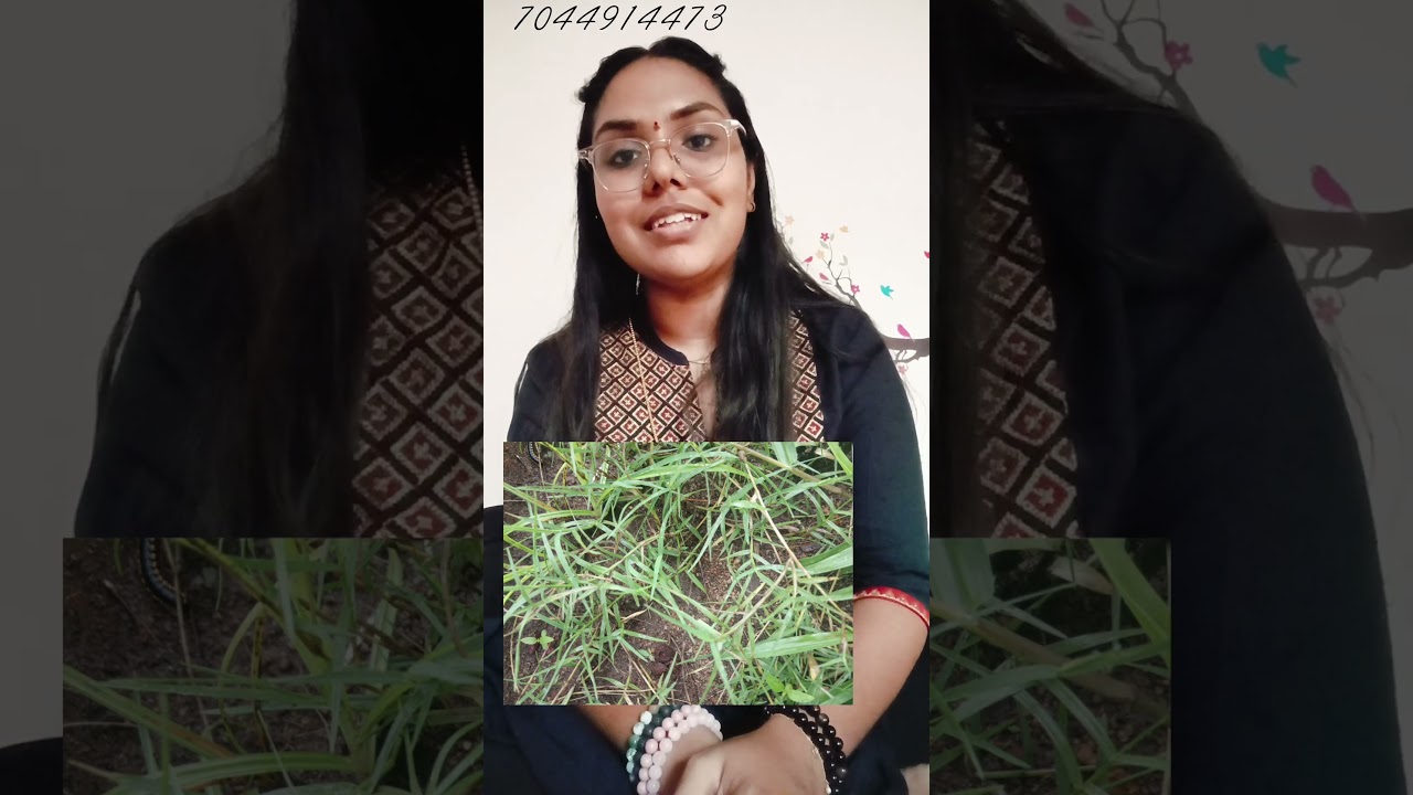 പൈസ ഉണ്ടാവാൻ💰🪙💲🤑😍💕💕𝗧𝗲𝗮𝗺 𝗦𝗽𝗶𝗿𝗶𝘁𝘂𝗮𝗹 𝗛𝗲𝗮𝗹𝗲𝗿|𝗧𝗶𝗽 𝗳𝗼𝗿 𝗮𝘁𝘁𝗿𝗮𝗰𝘁𝗶𝗻𝗴 𝗺𝗼𝗻𝗲𝘆 #tarot #fortunetelling