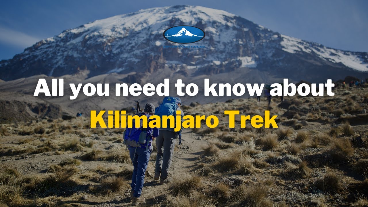 Kilimanjaro Trek | All you need to know about