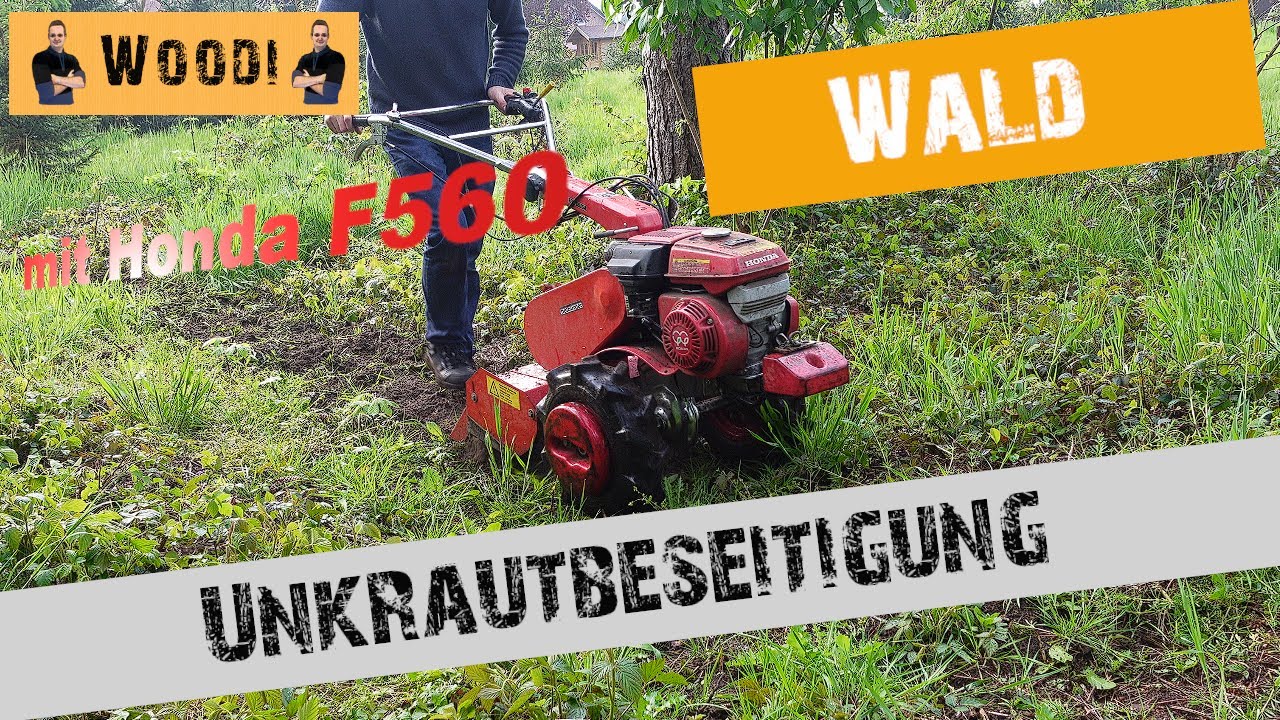 Wald aufforsten - Unkrautbekämpfung an den Jungbäumen - Fräsen Honda F560 - Kleintraktor