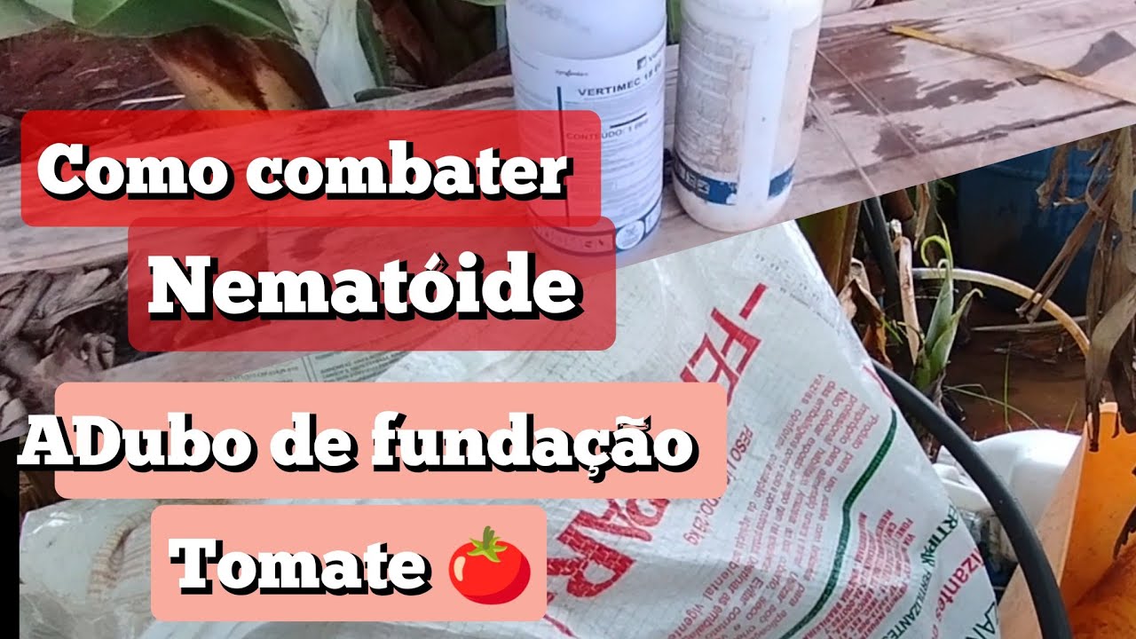 como combater nematóides, adubo de fundação tomate 🍅