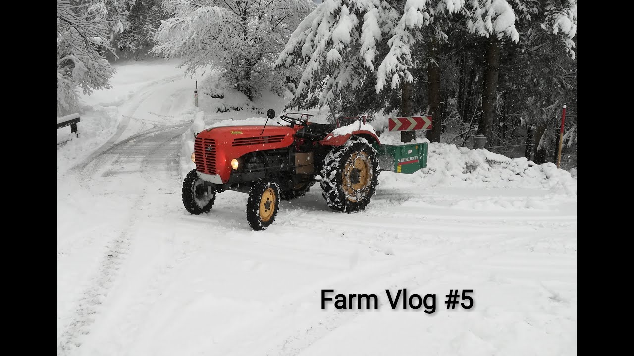 Farm Vlog #5 Schnee, und eine neue Säge.
