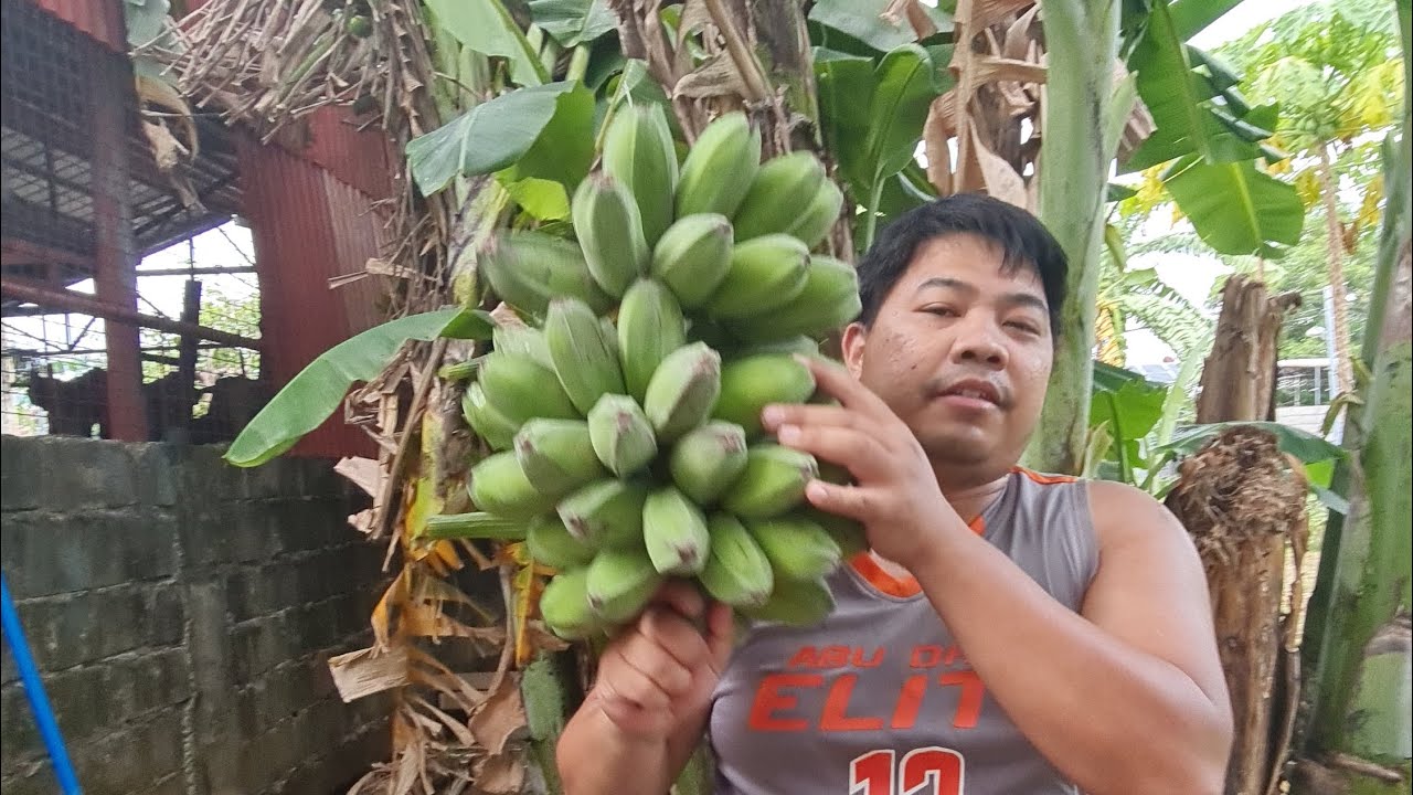 Ang Saba Bow Sabanana 😅